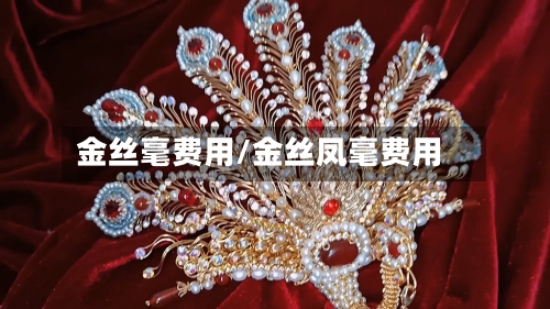 金丝毫费用/金丝凤毫费用-第3张图片