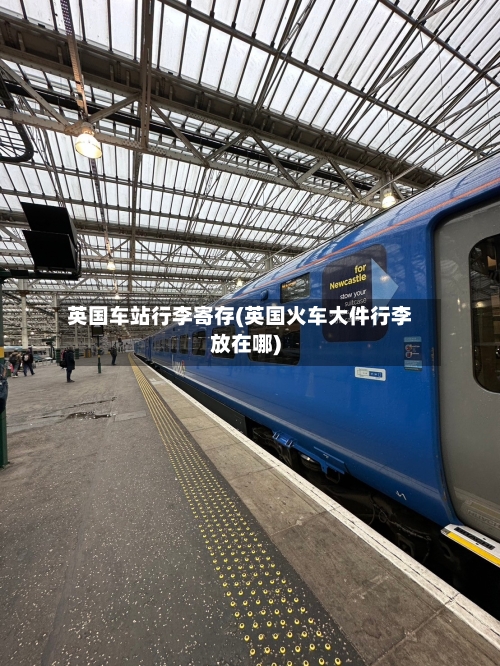 英国车站行李寄存(英国火车大件行李放在哪)