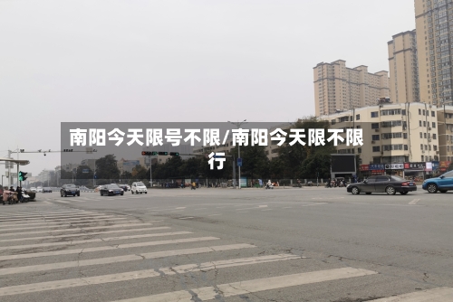 南阳今天限号不限/南阳今天限不限行-第3张图片