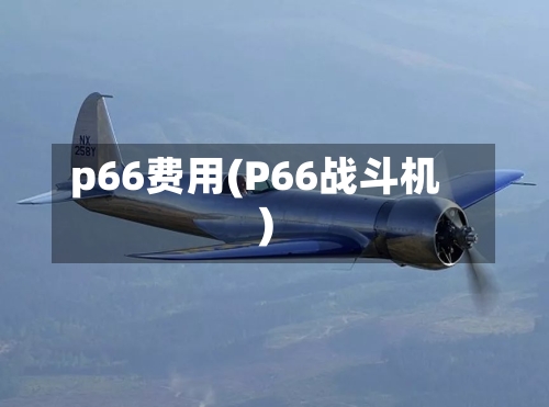 p66费用(P66战斗机)