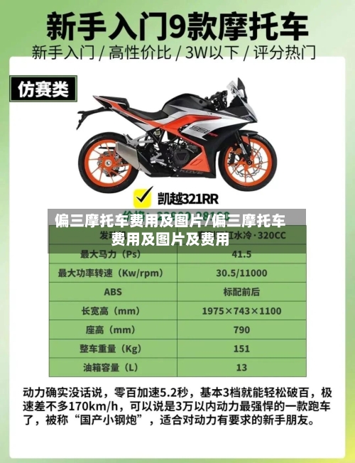 偏三摩托车费用及图片/偏三摩托车费用及图片及费用-第3张图片