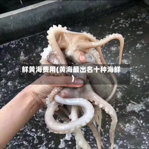 鲜黄海费用(黄海最出名十种海鲜)-第2张图片