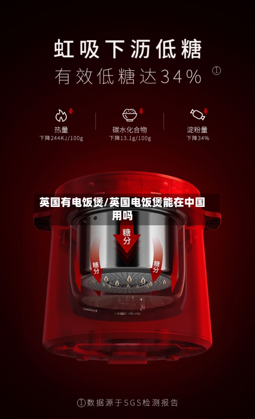 英国有电饭煲/英国电饭煲能在中国用吗