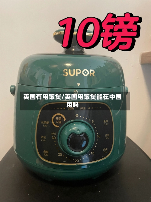 英国有电饭煲/英国电饭煲能在中国用吗-第2张图片