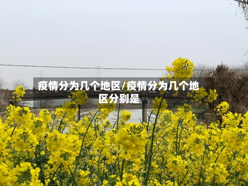 疫情分为几个地区/疫情分为几个地区分别是-第3张图片