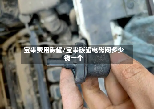 宝来费用碳罐/宝来碳罐电磁阀多少钱一个-第3张图片