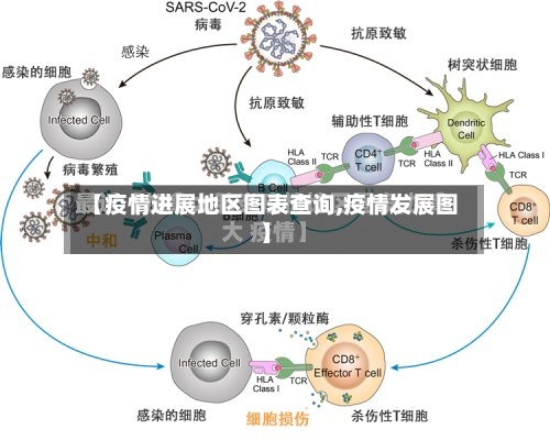 【疫情进展地区图表查询,疫情发展图】-第2张图片