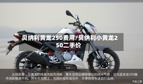 贝纳利黄龙250费用/贝纳利小黄龙250二手价