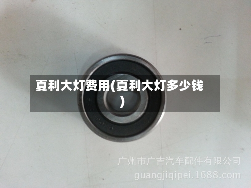 夏利大灯费用(夏利大灯多少钱)