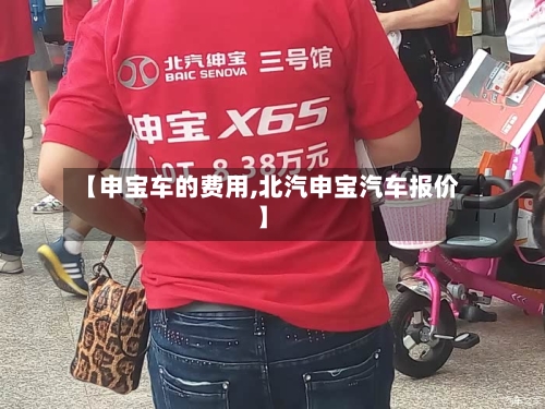 【申宝车的费用,北汽申宝汽车报价】