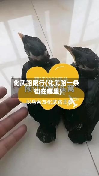化武路限行(化武路一条街在哪里)