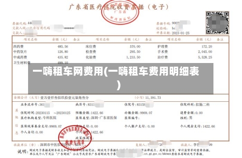 一嗨租车网费用(一嗨租车费用明细表)