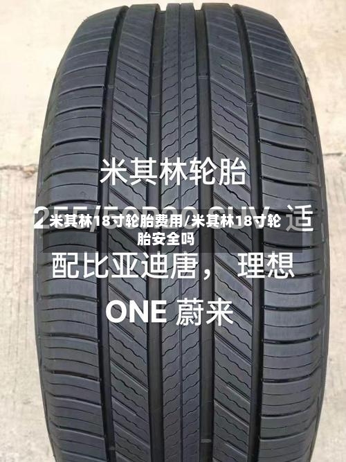 米其林18寸轮胎费用/米其林18寸轮胎安全吗-第3张图片