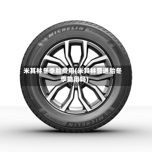米其林冬季胎费用(米其林普通胎冬季能用吗)