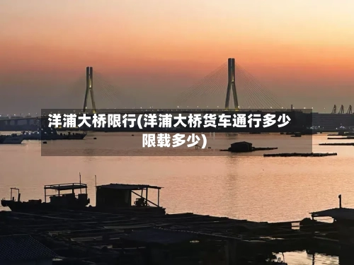 洋浦大桥限行(洋浦大桥货车通行多少限载多少)