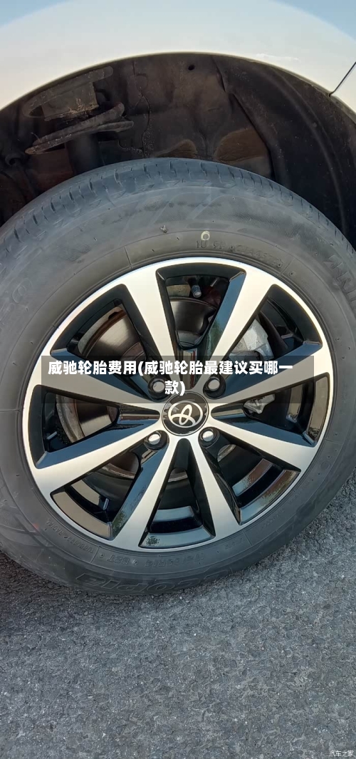 威驰轮胎费用(威驰轮胎最建议买哪一款)-第2张图片