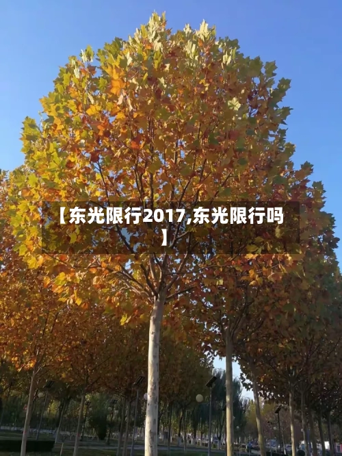 【东光限行2017,东光限行吗】