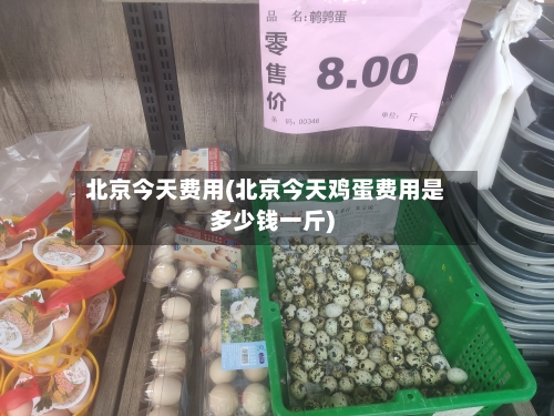 北京今天费用(北京今天鸡蛋费用是多少钱一斤)