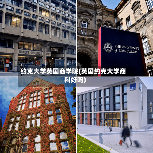 约克大学英国商学院(英国约克大学商科好吗)
