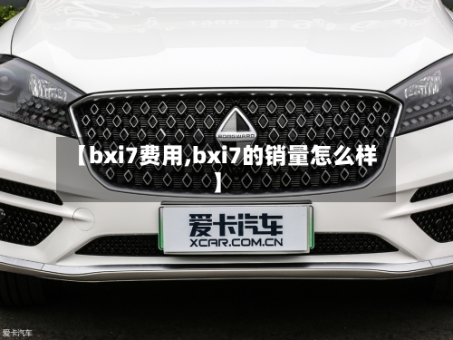 【bxi7费用,bxi7的销量怎么样】-第2张图片