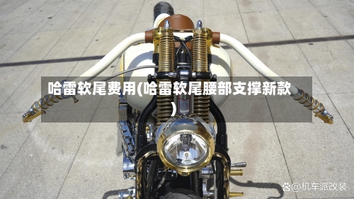 哈雷软尾费用(哈雷软尾腰部支撑新款)-第3张图片