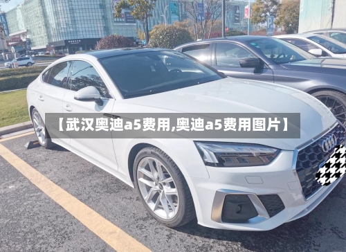 【武汉奥迪a5费用,奥迪a5费用图片】