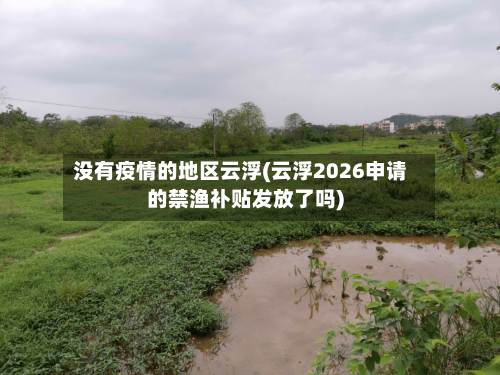 没有疫情的地区云浮(云浮2026申请的禁渔补贴发放了吗)-第3张图片