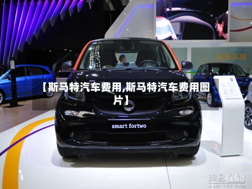 【斯马特汽车费用,斯马特汽车费用图片】-第2张图片