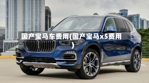 国产宝马车费用(国产宝马x5费用)-第2张图片