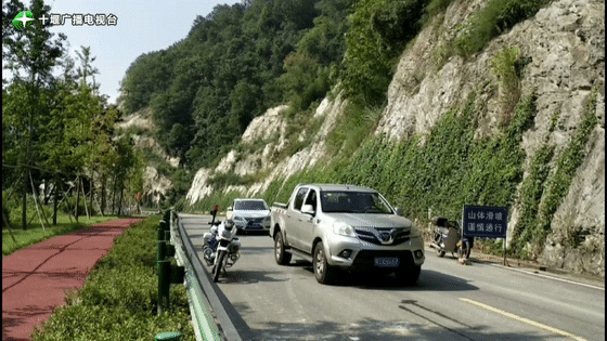 山东停工限行(山东停工令)