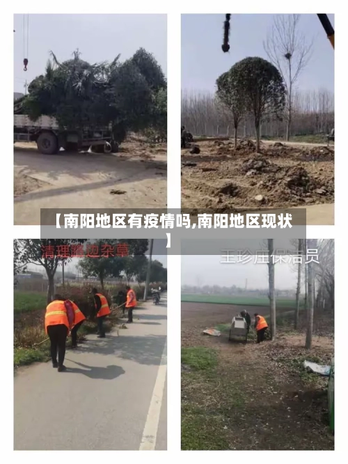 【南阳地区有疫情吗,南阳地区现状】