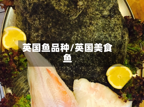 英国鱼品种/英国美食鱼-第2张图片