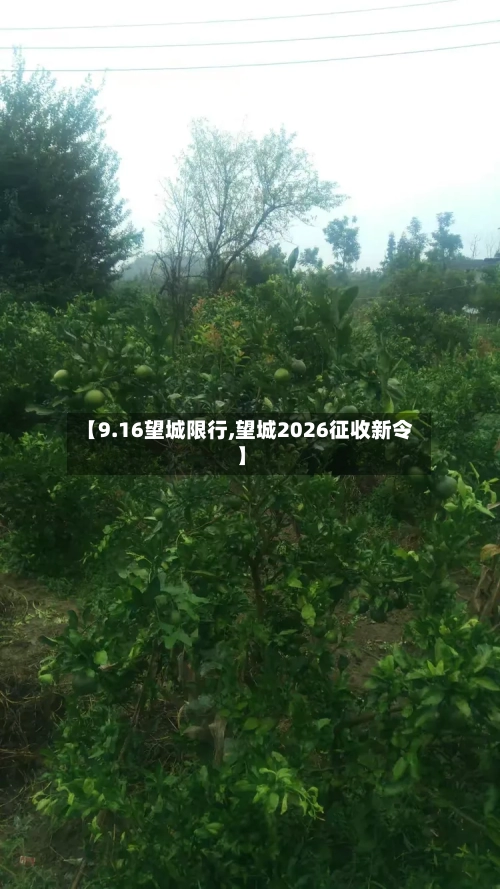 【9.16望城限行,望城2026征收新令】