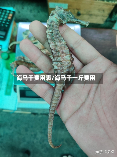 海马干费用表/海马干一斤费用-第2张图片
