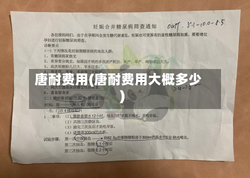 唐耐费用(唐耐费用大概多少)