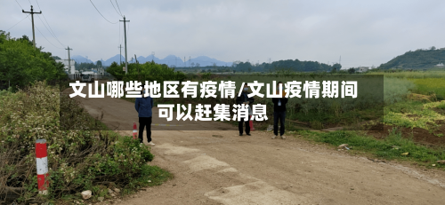 文山哪些地区有疫情/文山疫情期间可以赶集消息