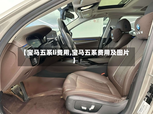 【宝马五系li费用,宝马五系费用及图片】-第2张图片