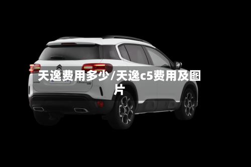 天逸费用多少/天逸c5费用及图片