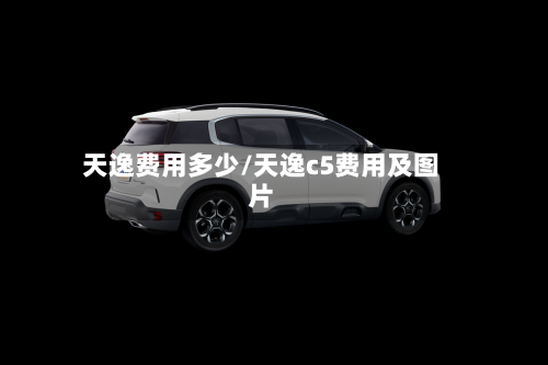 天逸费用多少/天逸c5费用及图片-第3张图片