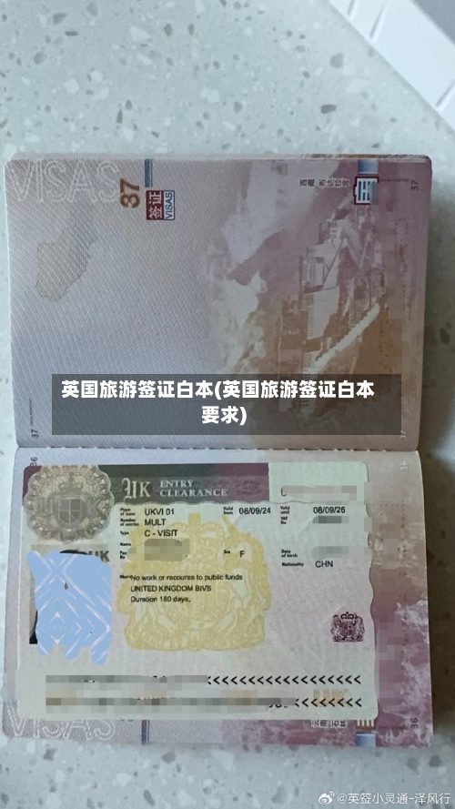 英国旅游签证白本(英国旅游签证白本要求)-第3张图片