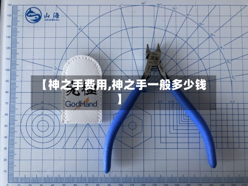 【神之手费用,神之手一般多少钱】-第3张图片
