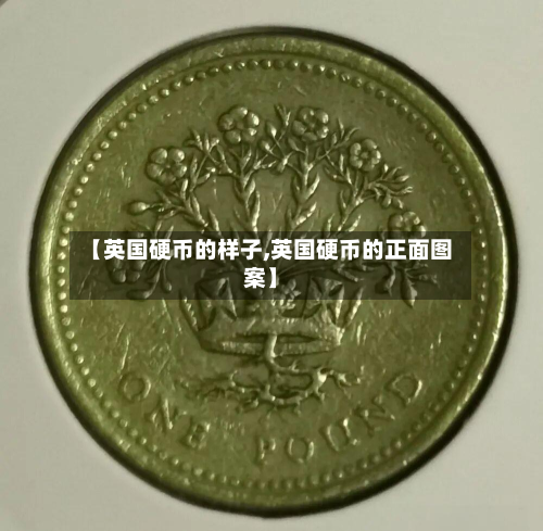 【英国硬币的样子,英国硬币的正面图案】