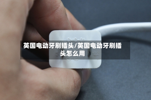 英国电动牙刷插头/英国电动牙刷插头怎么用