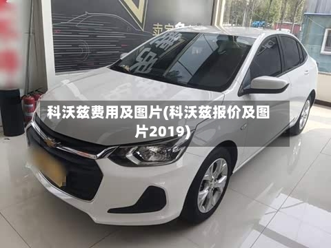 科沃兹费用及图片(科沃兹报价及图片2019)
