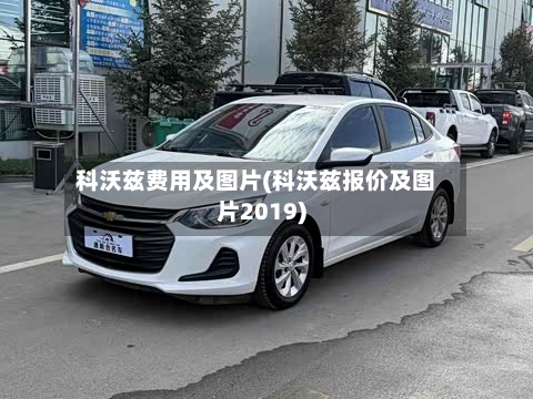 科沃兹费用及图片(科沃兹报价及图片2019)-第3张图片