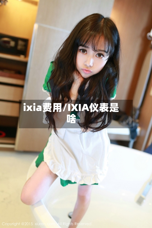 ixia费用/IXIA仪表是啥
