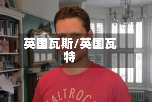 英国瓦斯/英国瓦特-第2张图片