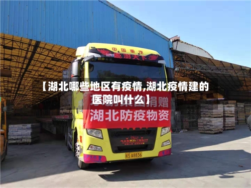 【湖北哪些地区有疫情,湖北疫情建的医院叫什么】-第2张图片