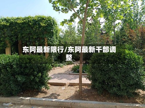 东阿最新限行/东阿最新干部调整-第2张图片