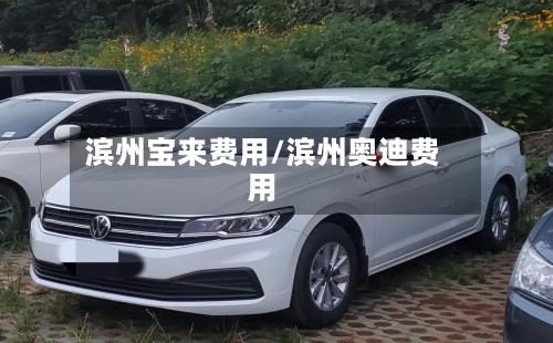 滨州宝来费用/滨州奥迪费用-第2张图片